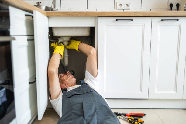 Best Plumbing Services Near Me  in Collinsville, MS
